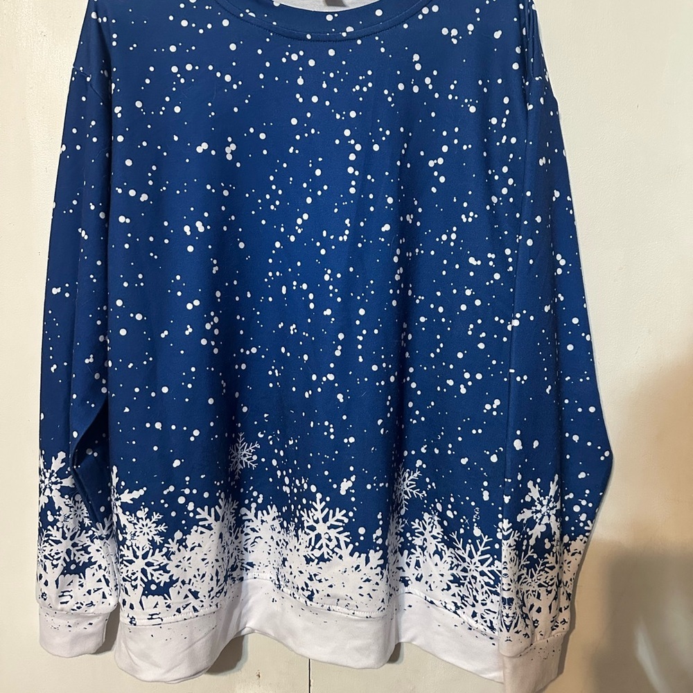 Blue and White Long Sleeve Boxy Sweatshirt